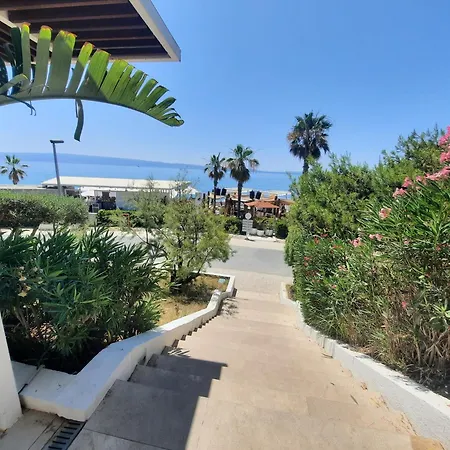 Tiki With A Large Terrace